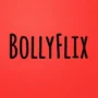Bollyflix: Complete Guide to Movies, Downloads, Features, and Legal Aspects (2026) icon