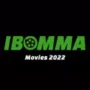 iBomma APK – Complete Guide (2026) icon